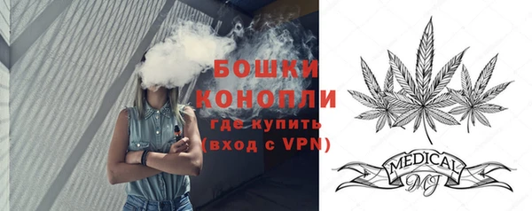 тгк Богданович