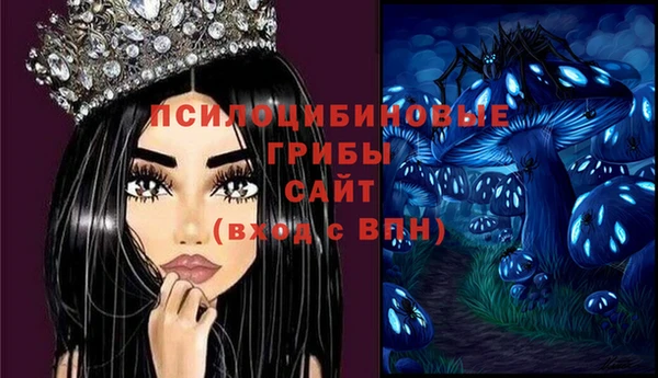 первитин Богородск