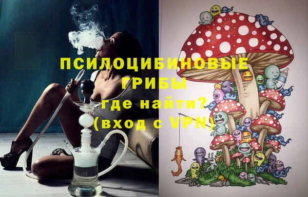 тгк Богданович
